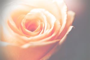 Photo 857154