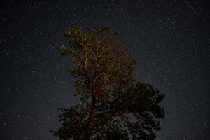 Photo 912323